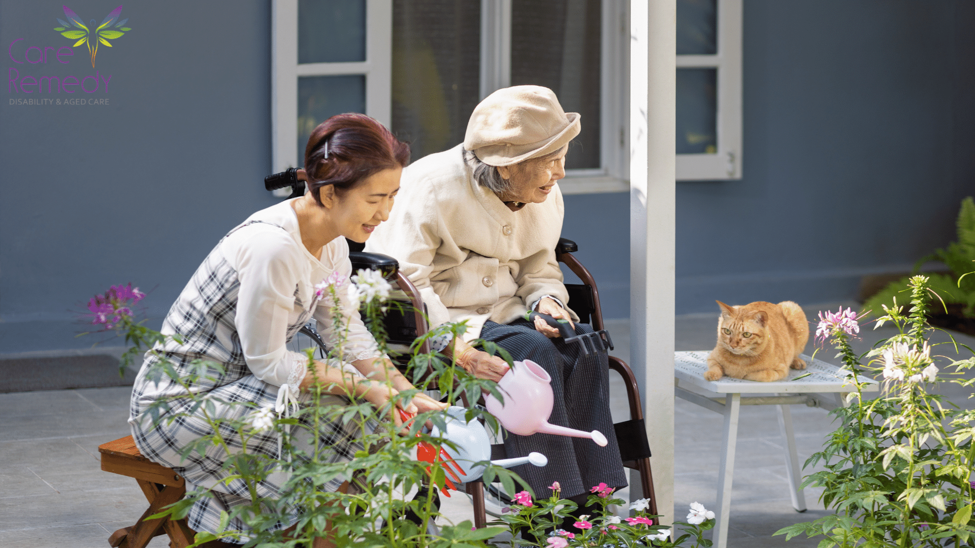 Aged Care