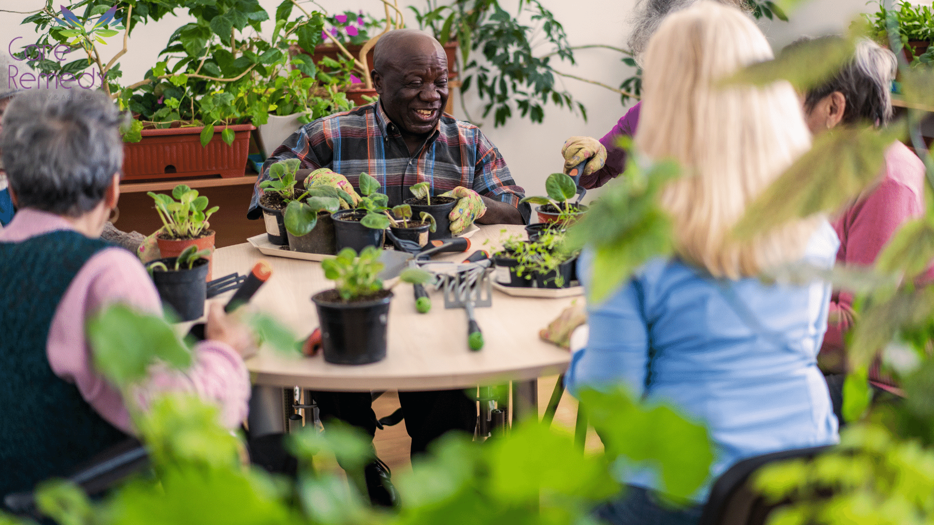 Aged Care