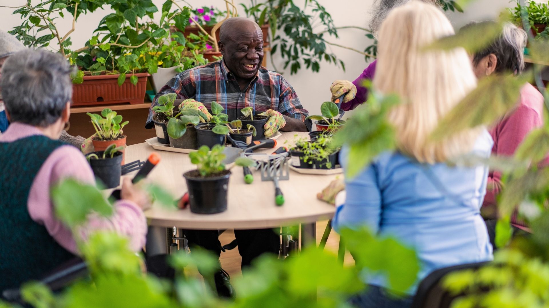 Comprehensive Care Solutions with Care Remedy